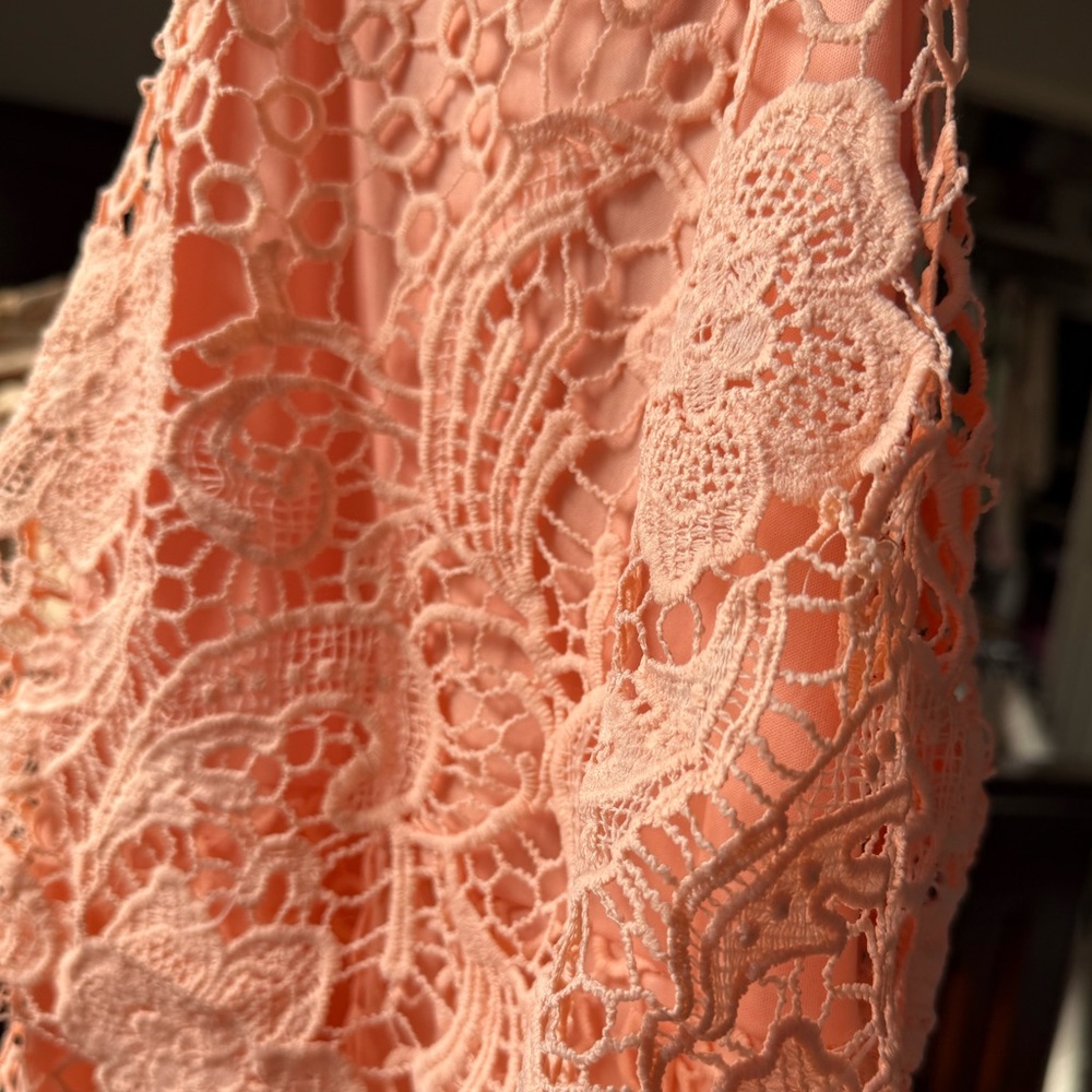BB Dakota Peach Lace Midi Dress - Picture 4 of 5